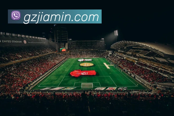 App Interface Preview